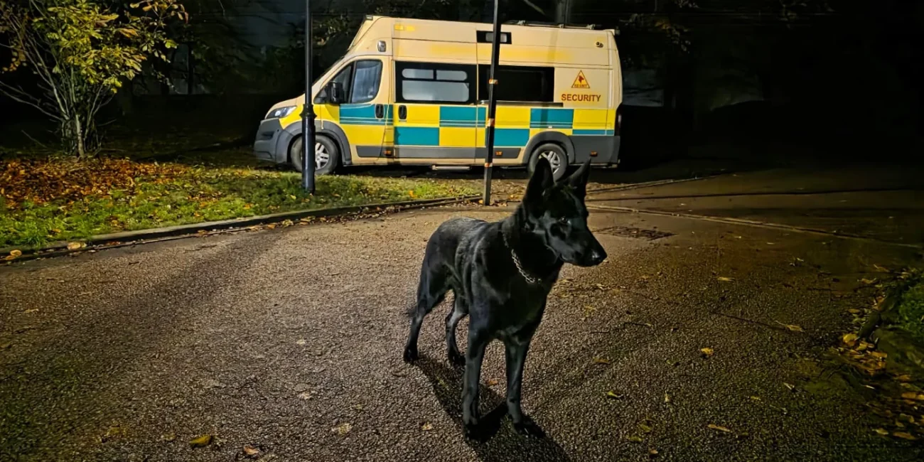 Black security dog with a marked security vehicle in the background at night
